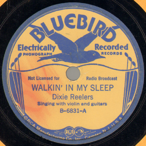 baixar álbum Dixie Reelers - Walkin In My Sleep Father Dear Father