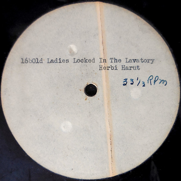 last ned album Herbi Hardt And His Jovial Jesters - 16 Old Ladies Locked In The Lavatory Parts 1 2 Over The Hill Who Will Pay The Bill