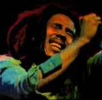 Album herunterladen Bob Marley Vs Funkstar De Luxe - Sun Is Shining The Island Mix