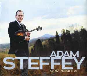 Adam Steffey - New Primitive album cover
