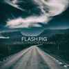 Flash Pig - Le Plus Longtemps Possible