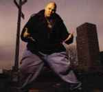 descargar álbum Fat Joe - Advance Music From The Forthcoming Album Jealous Ones Still Envy