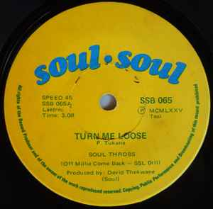 The Soul Throbs - Turn Me Loose / Don't Know Why album cover