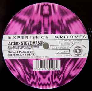 Steve Mason - What Do You Do For Fun ? album cover