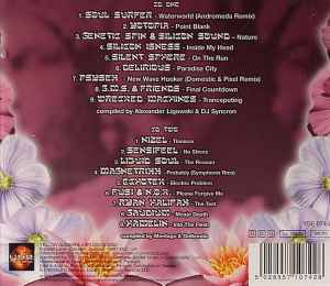 Various - Indian Spirit Volume Two album cover