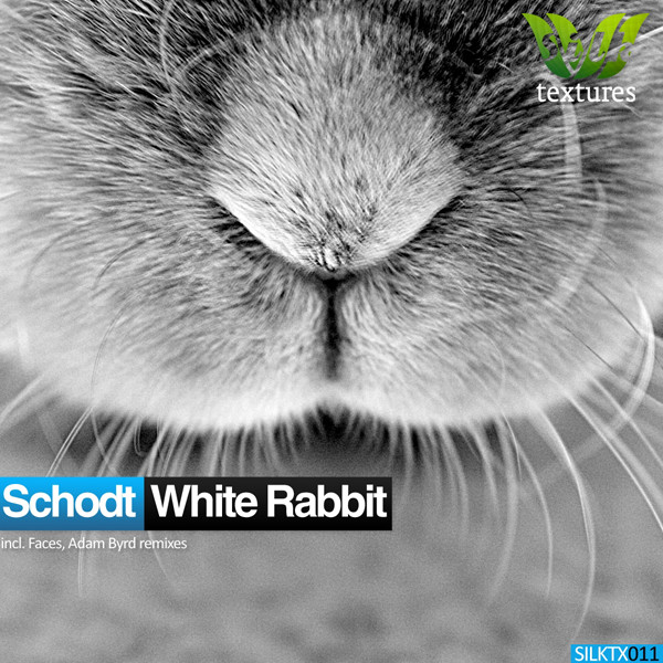 Album herunterladen Schodt - White Rabbit