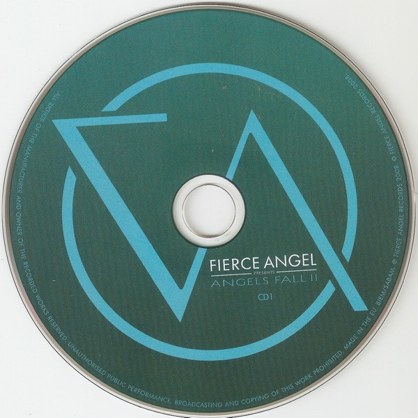 last ned album Various - Angels Fall II