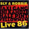 Sly & Robbie / Taxi Gang* / Ini Kamoze / Half Pint (3) / Yellowman - Live 86