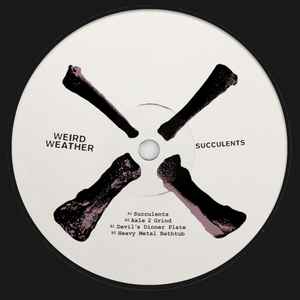 Weird Weather - Succulents album cover