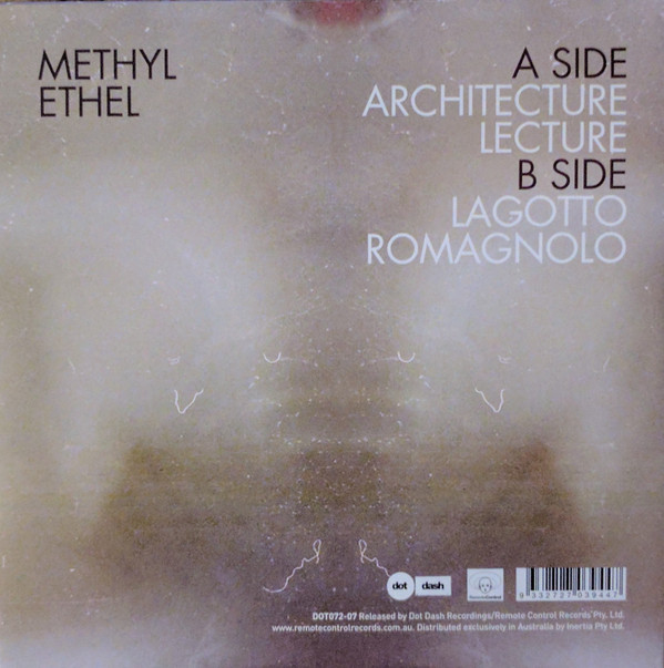 Album herunterladen Methyl Ethel - Architecture Lecture Lagotto Romagnolo
