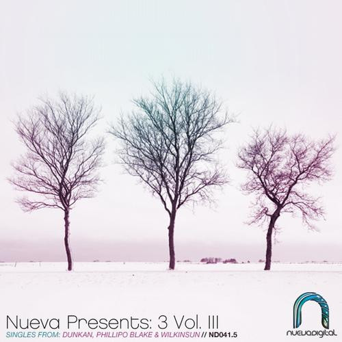 baixar álbum Various - Nueva Presents 3 Vol III