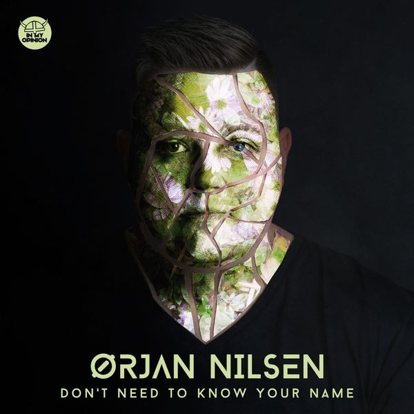 descargar álbum Ørjan Nilsen - Dont Need To Know Your Name