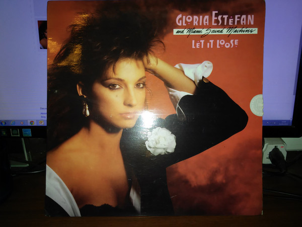 baixar álbum Gloria Estefan And Miami Sound Machine - Let It Loose Sueltalo