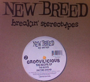 ladda ner album Groovilicious - The Recipe