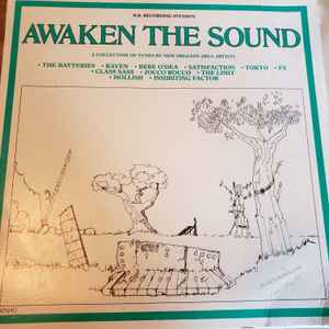 Various - Awaken The Sound album cover