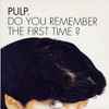 Pulp - Do You Remember The First Time?