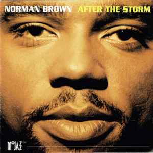 Norman Brown – After The Storm (1994, CD) - Discogs