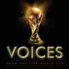 Various - Voices From The FIFA World Cup