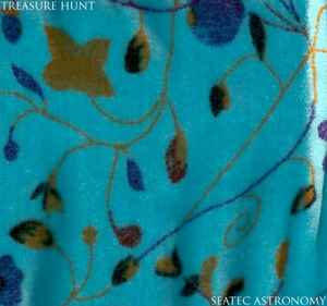 Treasure Hunt - Seatec Astronomy album cover