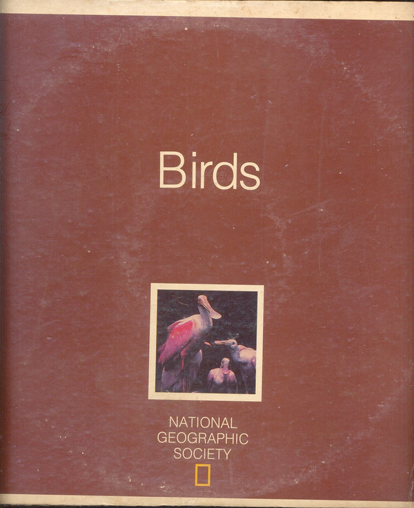 descargar álbum The National Geographic Society - Birds