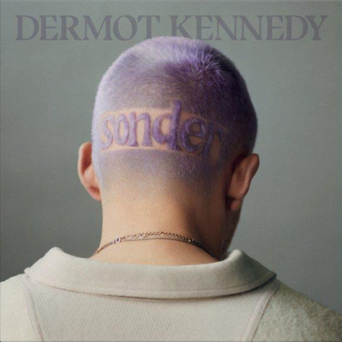 Dermot Kennedy - Already Gone - Sonder Tour - Copenhagen 10.03.23 🎥