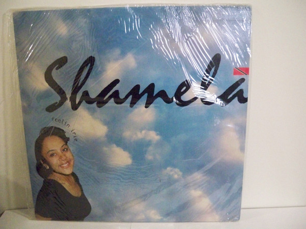 Album herunterladen Shamela - Feelin Irie