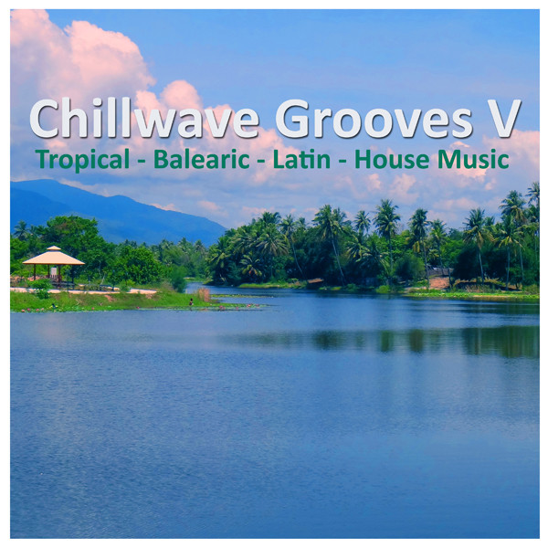 last ned album Various - PI Chillwave Grooves V