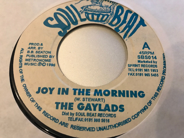 The Gaylads – Joy In The Morning (1996, Vinyl) - Discogs