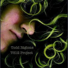 last ned album Todd Rigione - V612 Project