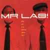 Mr Lab! - Why Are You Talking About Me?