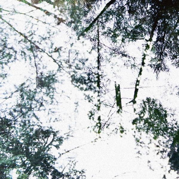 descargar álbum Lunar Grave - Mirror Of The Woods