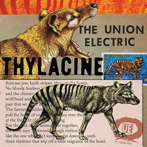 The Union Electric - Thylacine / Bugs album cover