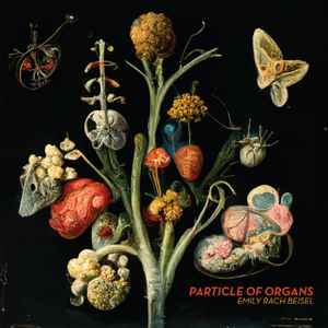 Emily Rach Beisel - Particle Of Organs album cover