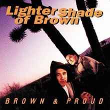 Lighter Shade Of Brown – Brown & Proud (1994, CD) - Discogs