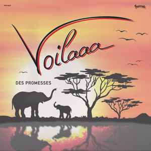 Des Promesses - Voilaaa