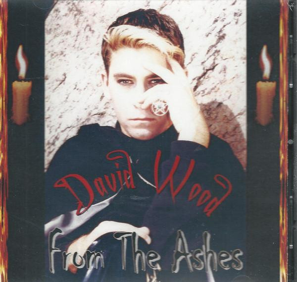 baixar álbum David Wood - From The Ashes