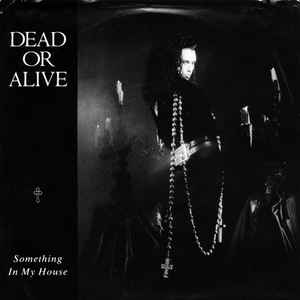 Dead Or Alive – You Spin Me Round (Like A Record) (1984, Vinyl) - Discogs