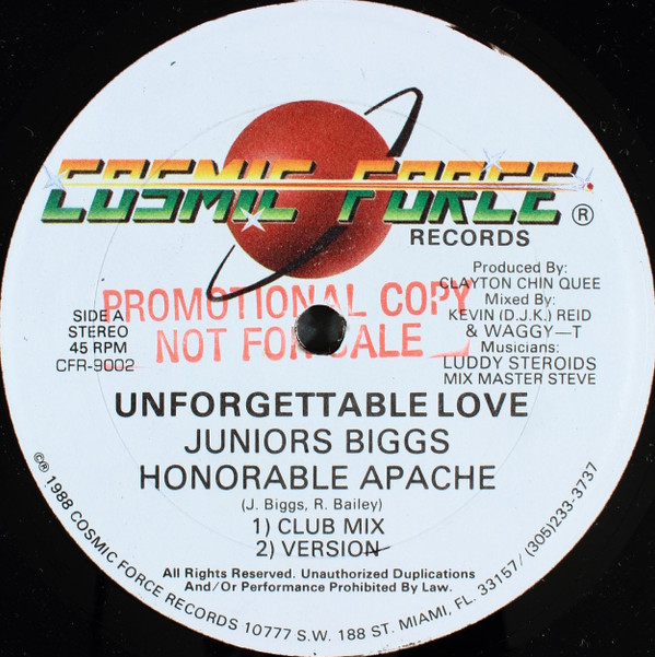 télécharger l'album Junior Biggs, Honorable Apache Singer Mikey, Fleshy Ranks - Unforgettable Love Come To Me