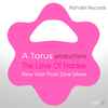 Toru S., A Torus - The Love Of Frankie (New Year Flute Zone Mixes)