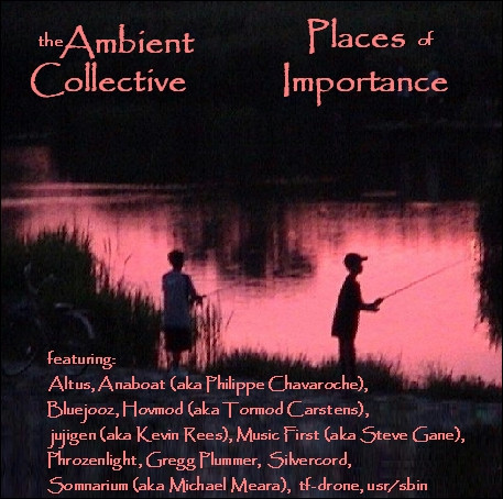 descargar álbum Various - Places Of Importance