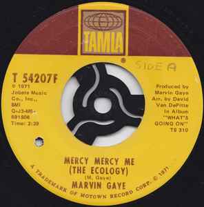 Marvin Gaye - Mercy, Mercy Me (The Ecology) - 12 Vinyl - Ear Candy Music