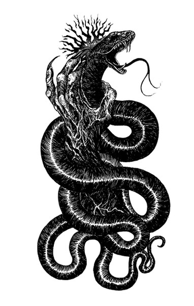 Serpent Dweller – Serpent Dweller (2021, Cassette) - Discogs