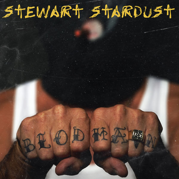 Album herunterladen Stewart Stardust - Det Er Som Det Er