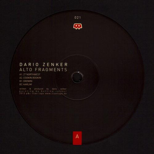 baixar álbum Dario Zenker - Alto Fragments