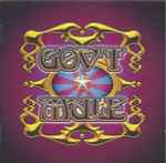 Gov't Mule – LiveWith A Little Help From Our Friends (Ring 