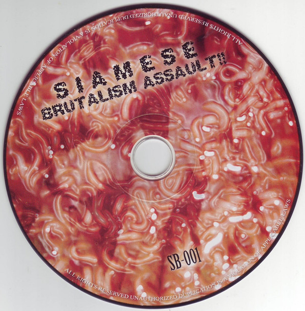 Album herunterladen Lacerate Deathguy A Good Day For Killing She's Gore - Siamese Brutalism Assault