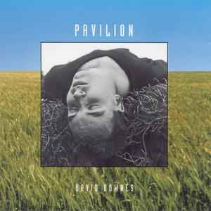 David Downes - Pavilion album cover