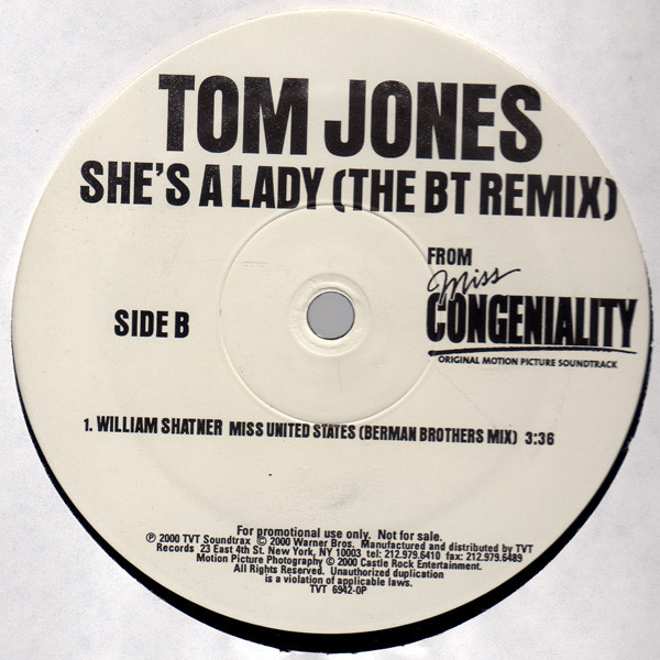 Album herunterladen Tom Jones - Shes A Lady The BT Remix