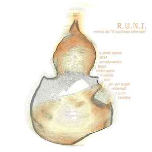 R.U.N.I. - La Zuccha Polmonate album cover
