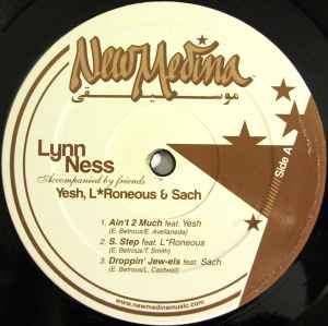 Lynn Ness - Ain't 2 Much album cover